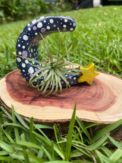 Tiny Moon Plant Holder - Air Plant Pot - Crescent Moon Decor - Plant Lover Gift