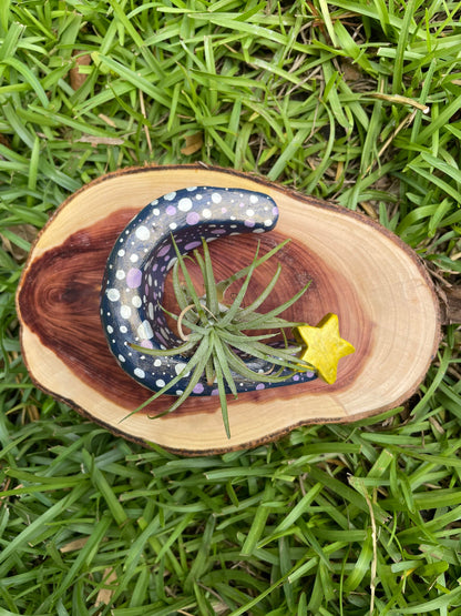 Tiny Moon Plant Holder - Air Plant Pot - Crescent Moon Decor - Plant Lover Gift