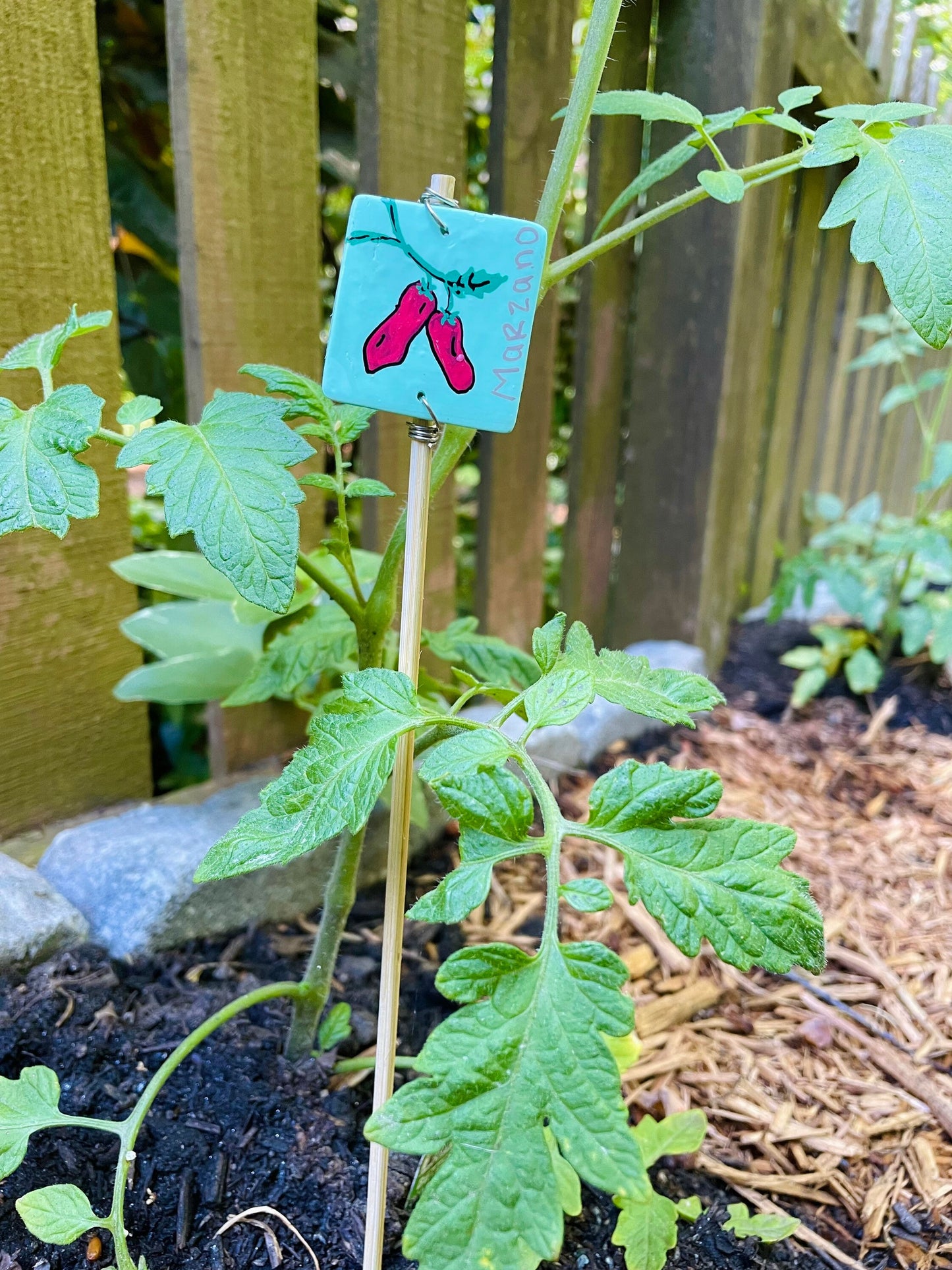 Garden Markers - Garden Stakes - Gift for Gardeners