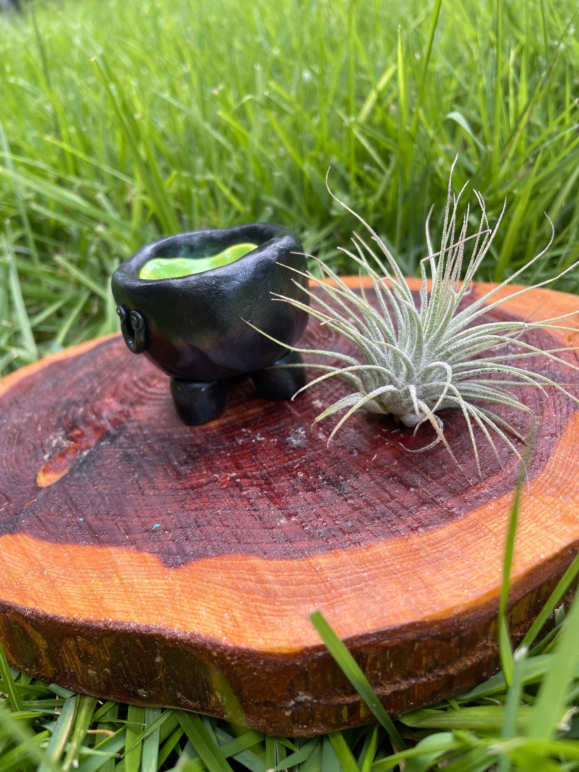 Tiny Cauldron Plant Holder - Air Plant Pot - Witchy Decor - Plant Lover Gift