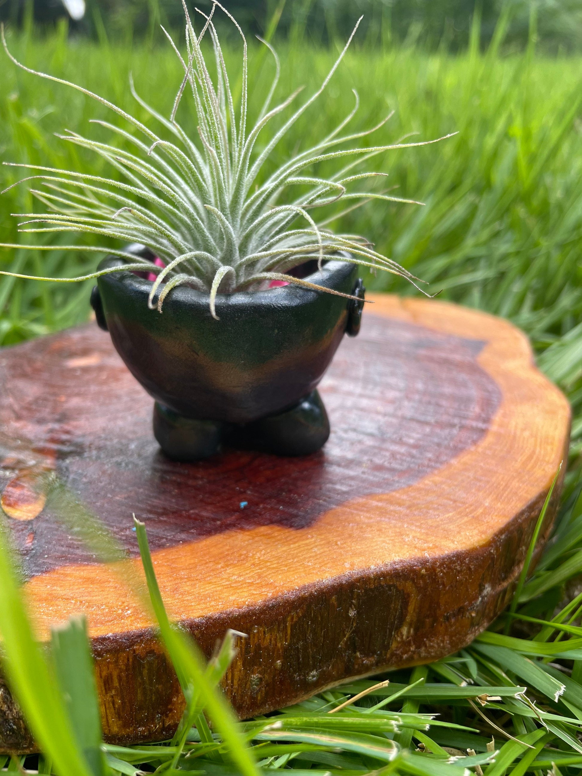 cauldron succulent Tiny Cauldron Plant Holder